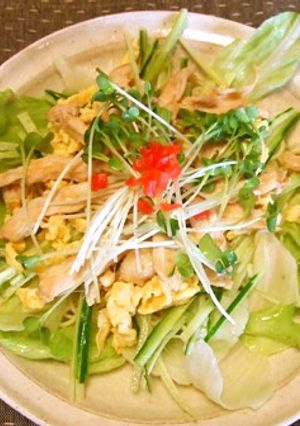 鶏塩ダレ野菜たっぷり冷やし中華(nn)v-レシピのメイン写真