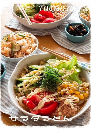 夏はやっぱりこれ～サラダうどん-レシピのメイン写真