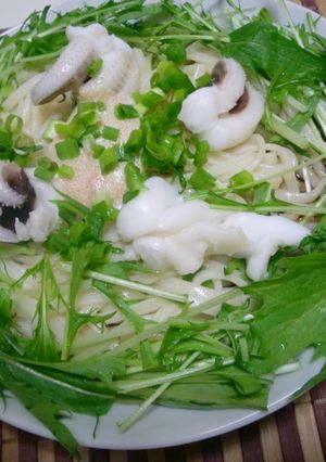 明太マヨ&イカのサラダうどん-レシピのメイン写真