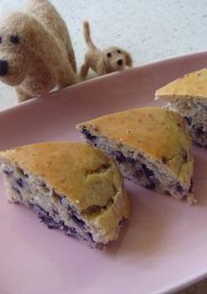 わんこ用ブルーベリーヨーグルトケーキ♪-レシピのメイン写真