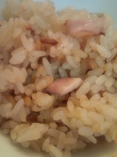 イカ飯風炊き込みごはん-レシピのメイン写真