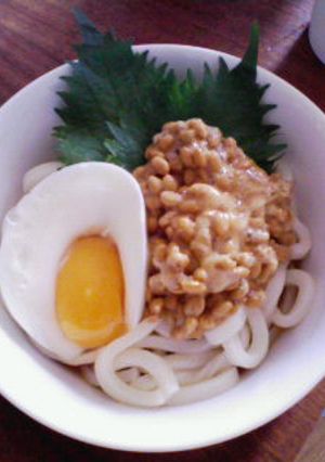 納豆うどん-レシピのメイン写真