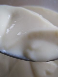 砂糖ナシ 簡単ヘルシー豆乳ババロア-レシピのメイン写真
