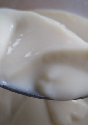 砂糖ナシ　簡単ヘルシー豆乳ババロア-レシピのメイン写真