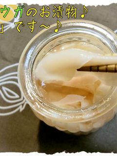 新ショウガでお漬物♪<ガリ>♪-レシピのメイン写真