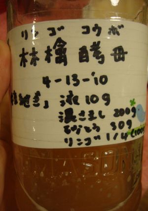 りんご酵母（酵母液～元種）✤-レシピのメイン写真