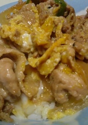 豚肉の生姜焼きのとろとろ玉子丼☆-レシピのメイン写真
