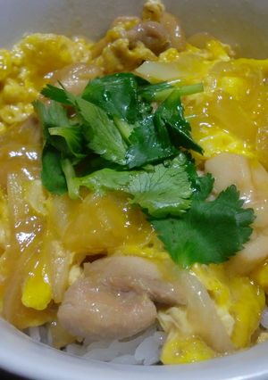 ハチミツと片栗粉deプルプルお肉の親子丼-レシピのメイン写真