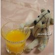 お酢De生姜ドリンク~ウコン入り