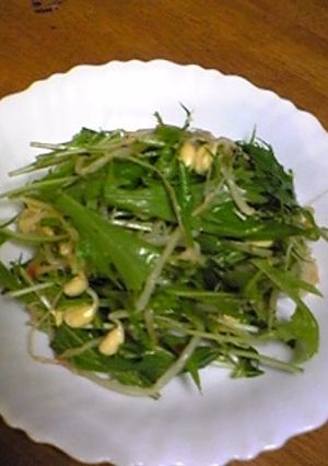 簡単！水菜ともやしキムチのサラダ-レシピのメイン写真