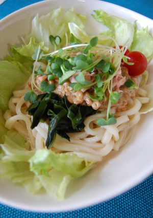 納豆サラダうどん♪お好みでピリ辛に♪-レシピのメイン写真
