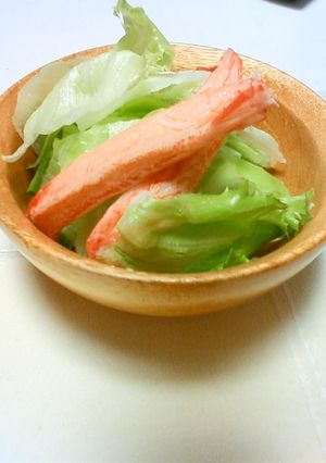 乗せるだけ　サラダ-レシピのメイン写真