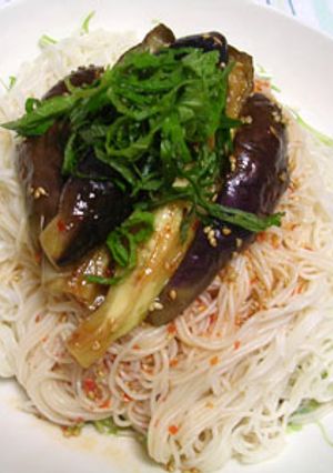 さっぱり！なすそうめん-レシピのメイン写真