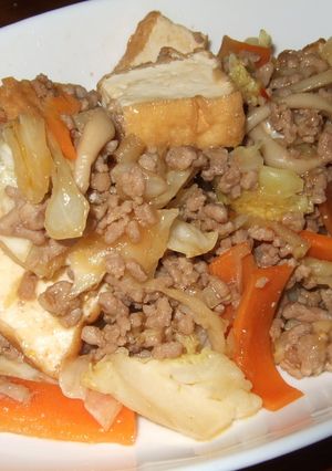 厚揚げとひき肉の炒め物-レシピのメイン写真