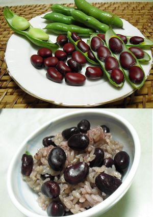 ●赤そら豆のごはん●-レシピのメイン写真