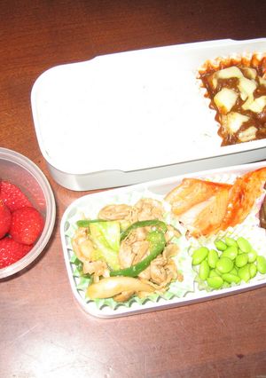 お弁当、四苦八苦しています　14-レシピのメイン写真