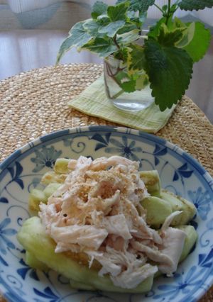 レンジのみ＊鶏となすのあっさり蒸し-レシピのメイン写真