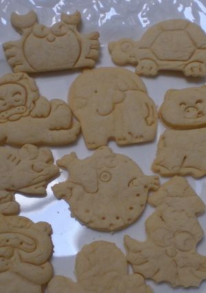 サラダ油で作る*簡単クッキー-レシピのメイン写真