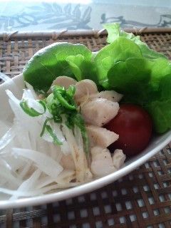 しっとりささみサラダ-レシピのメイン写真