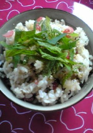 ｶﾘｶﾘ梅とちりめんの混ぜご飯-レシピのメイン写真
