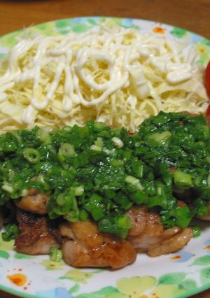 鶏肉のたっぷりネギ塩乗せ☆彡-レシピのメイン写真