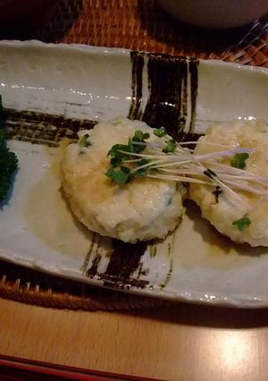 ゴーヤ入り豆腐ハンバーグ風-レシピのメイン写真