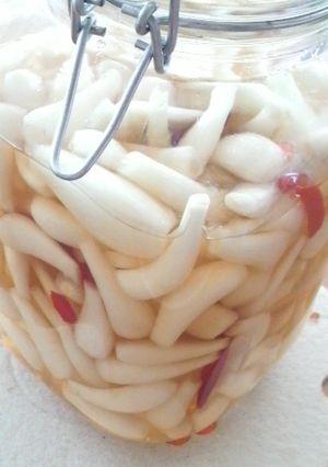 初夏の味付♪らっきょう甘酢漬け-レシピのメイン写真