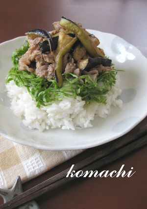 豚肉と茄子の元気丼-レシピのメイン写真