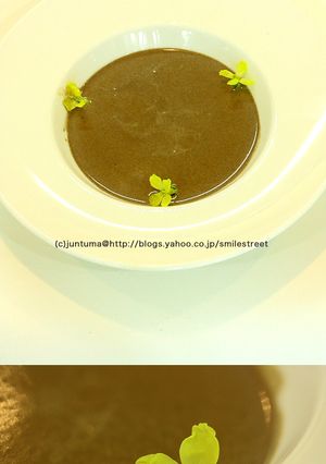 ほろ苦いカリフラワーのスープ-レシピのメイン写真