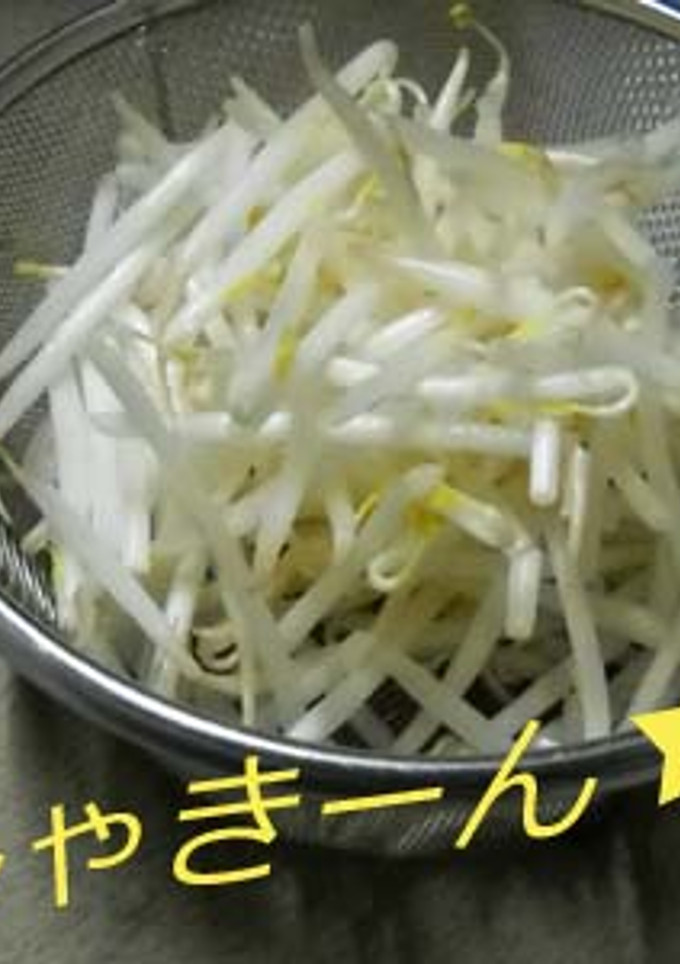 もやしを「しゃきーん★」と炒める方法-レシピのメイン写真