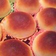 しっとりやわらかほんのり甘い♡パン生地