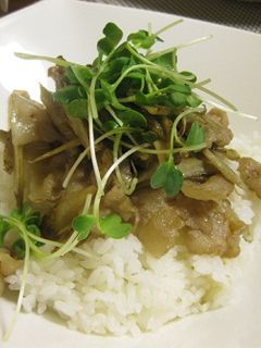 豚バラごぼう丼-レシピのメイン写真