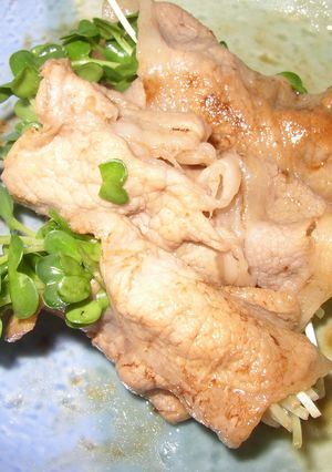 お弁当に！豚肉のかいわれ巻き-レシピのメイン写真