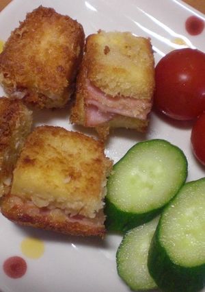 ２種類の高野豆腐カツ-レシピのメイン写真