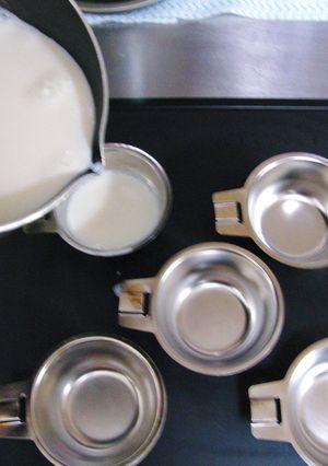 離乳食☆１２ヵ月～　牛乳ゼリー-レシピのメイン写真