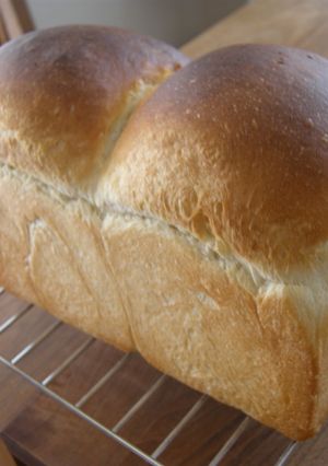 ふんわり食パン-レシピのメイン写真