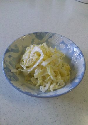 簡単・美味しい!!ｺｰﾙｽﾛｰｻﾗﾀﾞ☆-レシピのメイン写真
