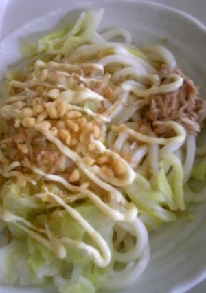 簡単☆サラダうどん-レシピのメイン写真