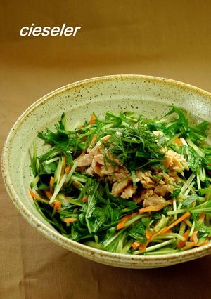 夏丼 ツナ、サラダ丼-レシピのメイン写真
