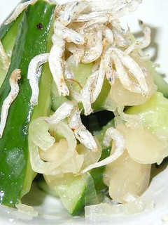 おいしいきゅうり~らっきょう・じゃこ和え-レシピのメイン写真
