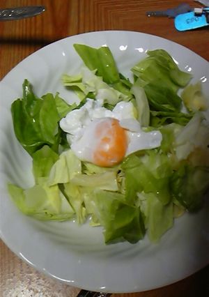 ホットキャベツサラダ-レシピのメイン写真