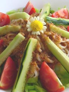 コチジャン・胡麻ダレ冷やしうどん-レシピのメイン写真