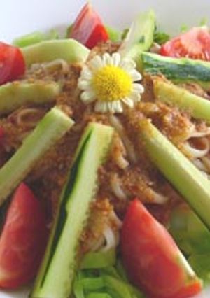 コチジャン・胡麻ダレ冷やしうどん-レシピのメイン写真