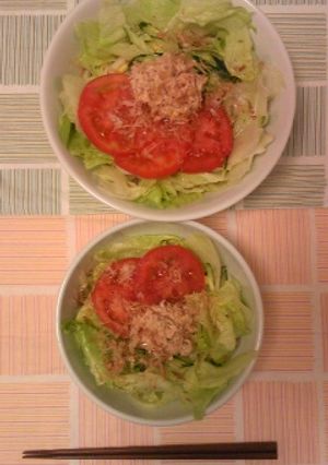 サラダうどん♪-レシピのメイン写真