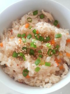 ヘルシー♪簡単ササミ飯-レシピのメイン写真