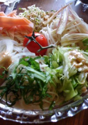 見た目重視のサラダそうめん♪-レシピのメイン写真