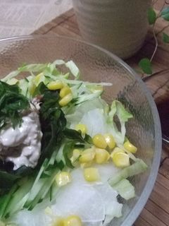 野菜た〜っぷり♪梅ツナマヨサラダうどん-レシピのメイン写真