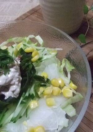 野菜た〜っぷり♪梅ツナマヨサラダうどん-レシピのメイン写真