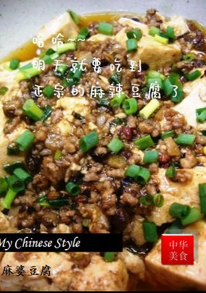 中華街の本格麻婆豆腐の秘密-レシピのメイン写真