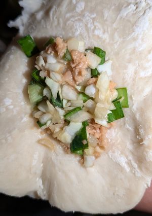水餃子専用 完全無塩 餃子の皮-レシピのメイン写真